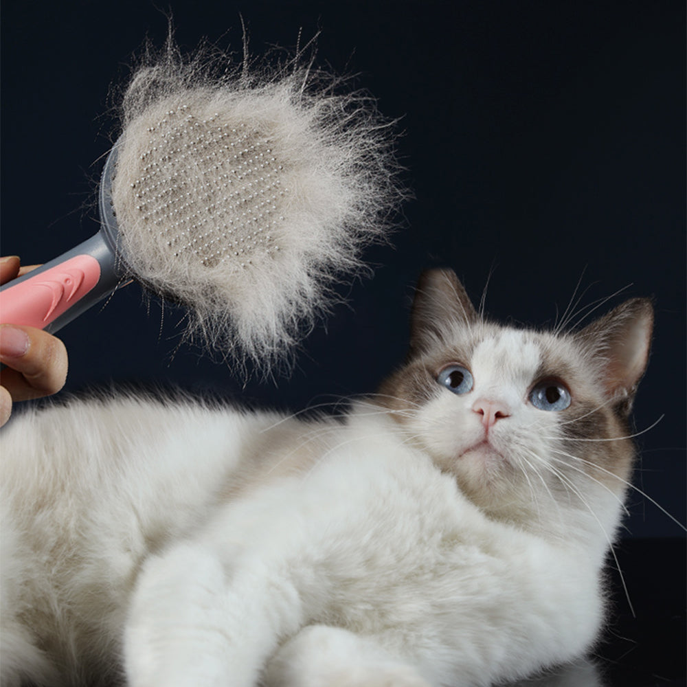 Pente de remoção de pelos de gatos